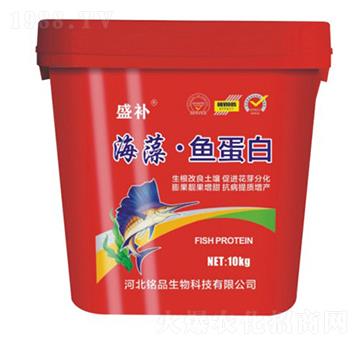 ���塤�~(y��)����-ʢ�a(b��)-�Ʒ����