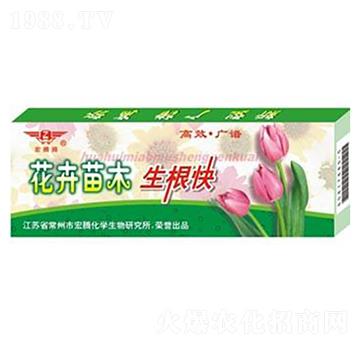 ������ľ������-���v��