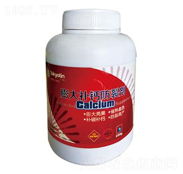 ����a�}���ф�-�����r(n��ng)�I(y��)