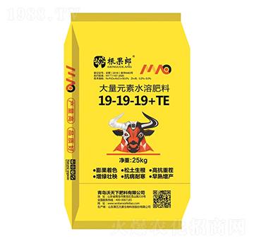 ����Ԫ��ˮ�ܷ���19-