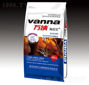 �ͺ�΢�������-������