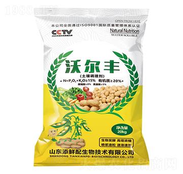 �����{(di��o)�턩-�֠��S-���r��