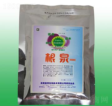 ��Ȫ-�������ٸ���-��������