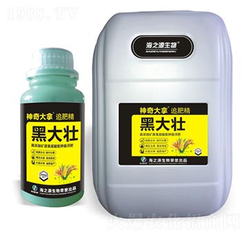 黑大壯-神奇大拿-通用化工