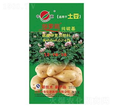 ���������⛏�(f��)�Ϸ���1