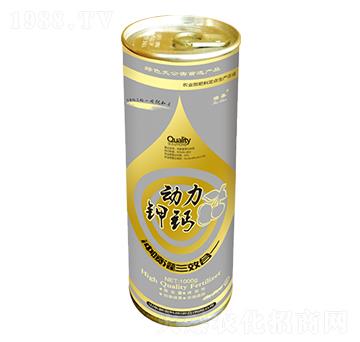 ��(d��ng)����}-��-���r(n��ng)