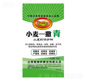 小麥一撒青-普魯薩