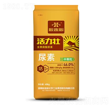 ����������-���B��