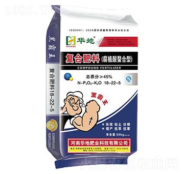 ��ֲ�������͏ͺϷ���1