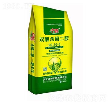 �p�Ậ������20-20