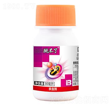 20%��x���}���`��30ml��-������-ӯ�x