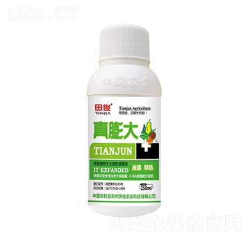 植物生長復配調理劑-真膨大-田俊肥業(yè)