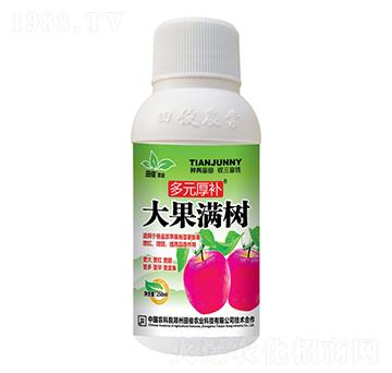 大果滿樹-多元厚補-田俊肥業(yè)