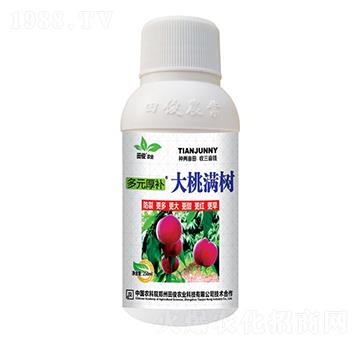 大桃滿樹-多元厚補(bǔ)-田俊肥業(yè)