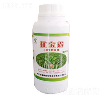 ֲ��¶-�Ͼ���