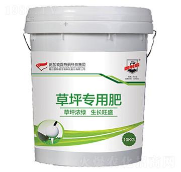 ��ƺ���÷�-������