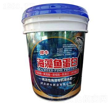 海藻魚(yú)蛋白-祥牛肥業(yè)