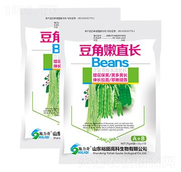 豆角嫩直長-施力奇-裕田高科