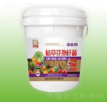 枯草芽孢桿菌-盛世泰來-萬事達(dá)