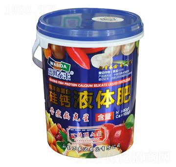 ���}Һ�w��-ʢ��̩��-�f���_