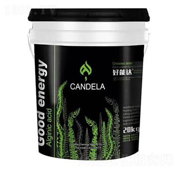 ���ך������ϑB(t��i)ֲ�ﵰ�נI�B(y��ng)��-�����_-�f���_