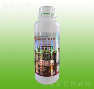 猛生根-萬事達(dá)