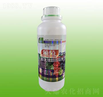 �������������ф�-����-�f���_(d��)