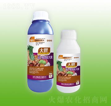 大胖地下根莖膨大素-悅巧-萬(wàn)事達(dá)