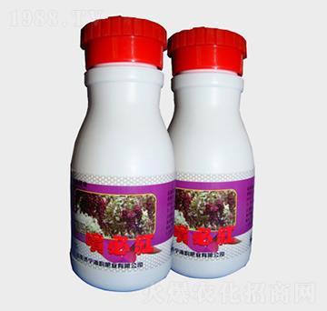 ���ؼt�~���-��퍷ʘI(y��)