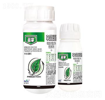 25%�����Ѿ���-�{(l��n)��-����������