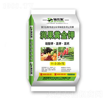 ����⛡���⛡����}11-3-20+TE-��(r��n)���S���-��������