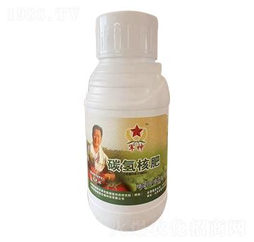 碳?xì)浜朔?綠藻門(mén)-碳?xì)鋰?guó)際