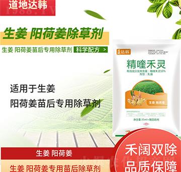 ����ꖺɽ����݄�-����ꖺɽ����-����ꖺɽ�����-���n