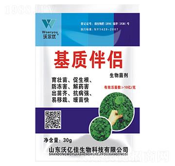 ���|(zh��)��H-�֠���(y��u)