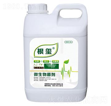 生根抗重茬型微生物菌劑-根璽-儂本農(nóng)業(yè)