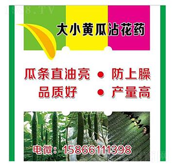 大、小黃瓜蘸花藥-美春農(nóng)業(yè)