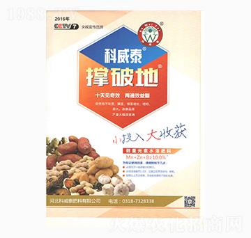 ���Ƶ�-����̩