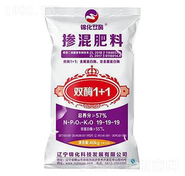 �������19-19-1