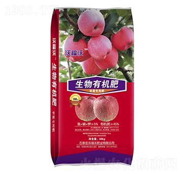 �O�����������ЙC(j��)��-�ָ���