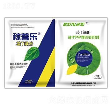 �|T�G�~-���՘�(l��)-��(r��n)��