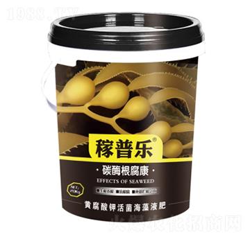 ̼ø������-���՘�(l��)-��(r��n)