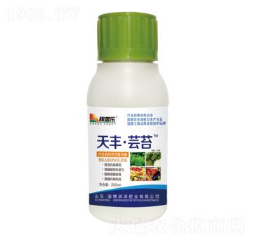 ���S���|̦-���՘�(l��)-��(r��n)