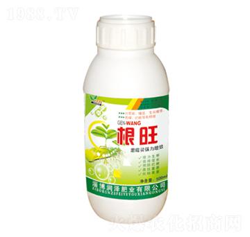 �����~���-���՘�(l��)-��(r��n)