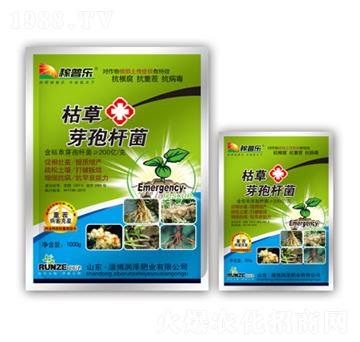 �ݲ�ѿ�ߗU��-���՘�(l��)-��(r��n)�ɷʘI(y��)