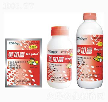 ���Ӹ��������߄�-��ʿ�r(n��ng)�I(y��)