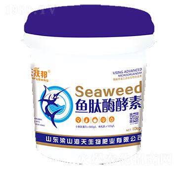 �~(y��)��ø����-��������