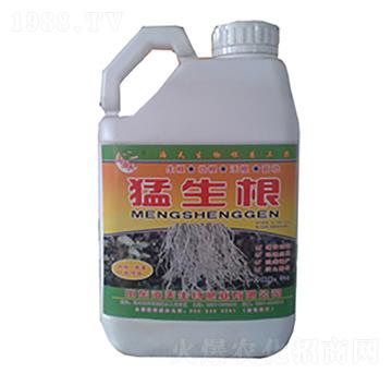 5����������-��������