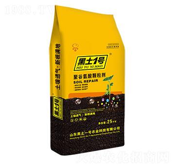 �۹Ȱ����w����-����1̖