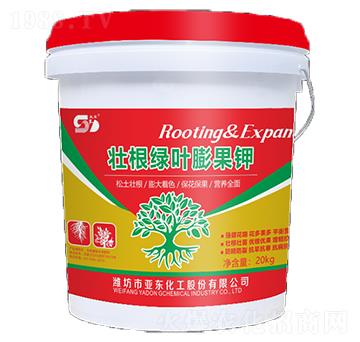 �Ѹ��G�~����-���|��