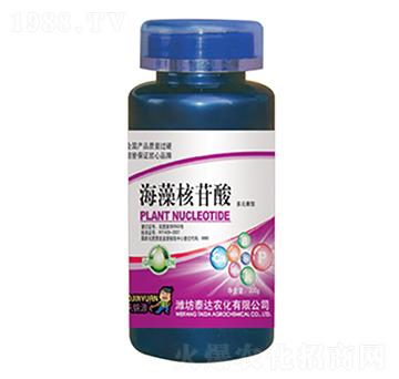 ���������-̩�_(d��)�r(n��ng)��